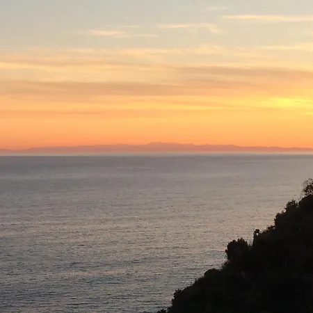 Apartman Casestate *